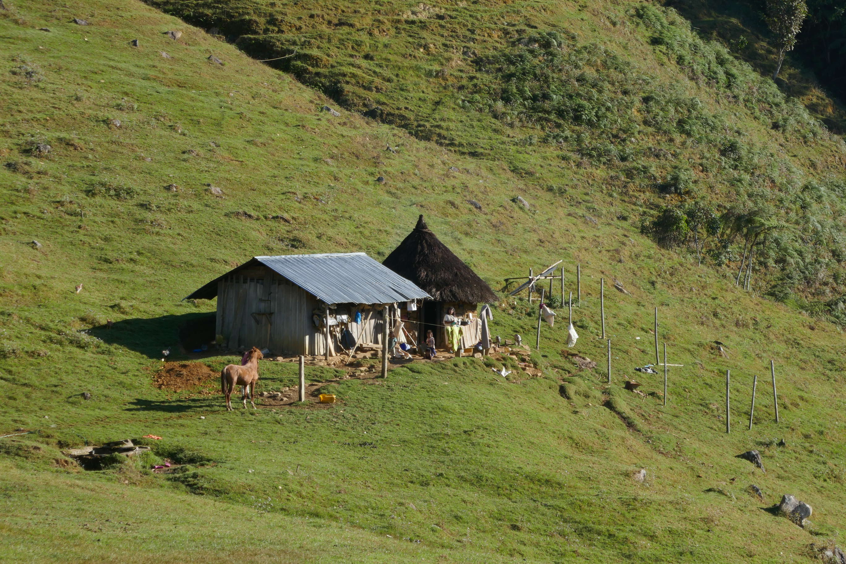 salaš