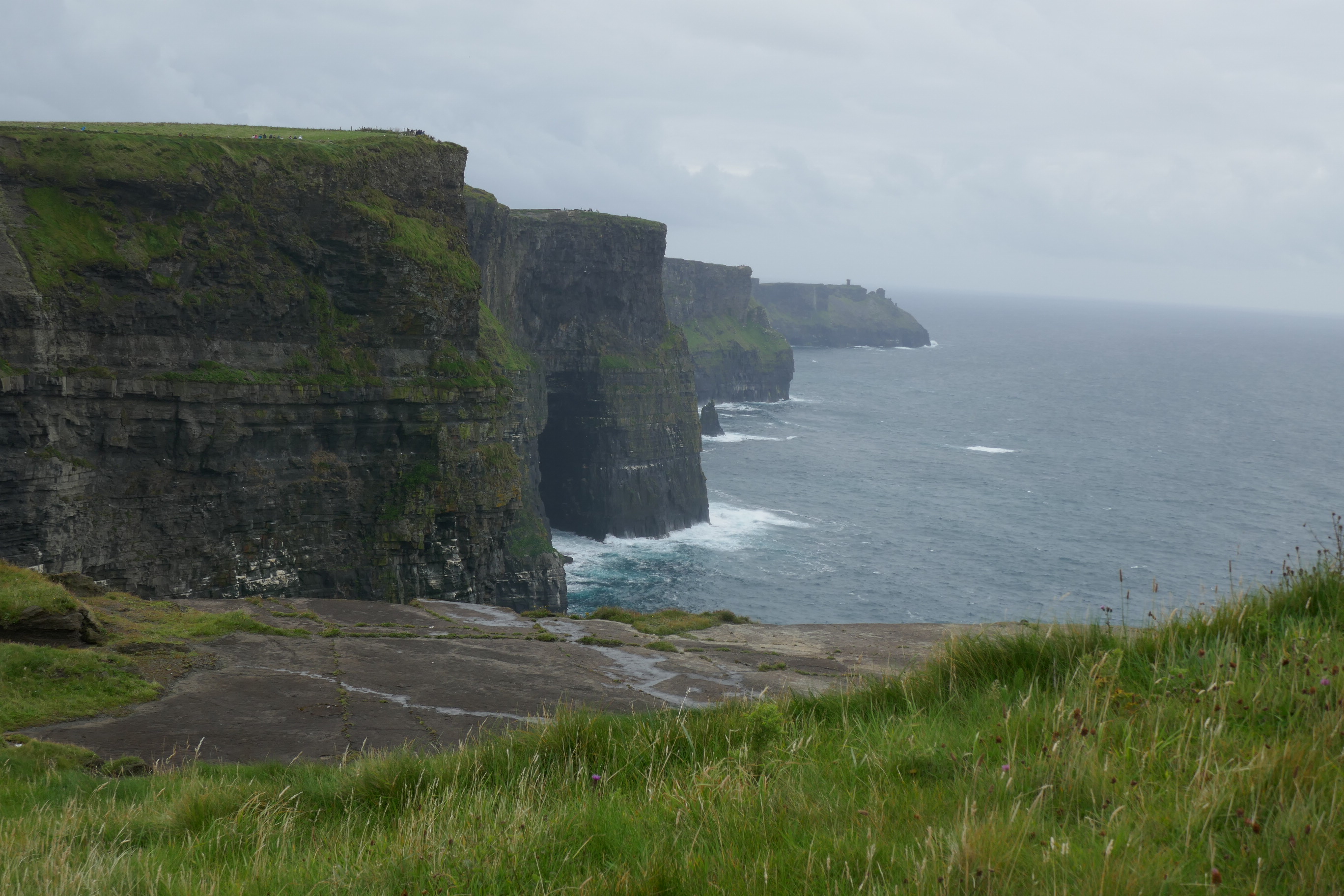 Moher