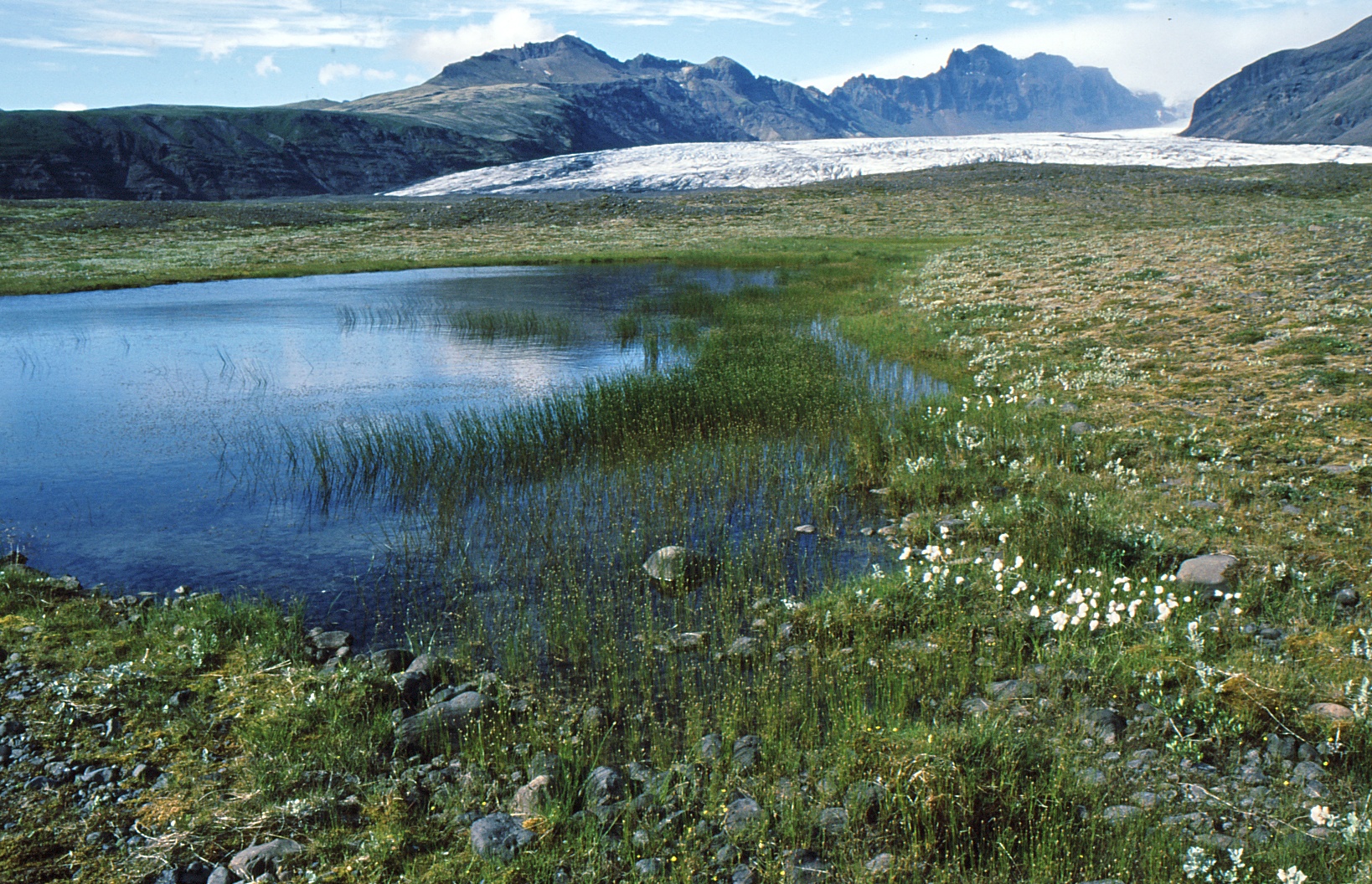 tundra+ledovec