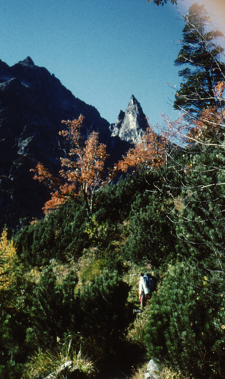 Mnich