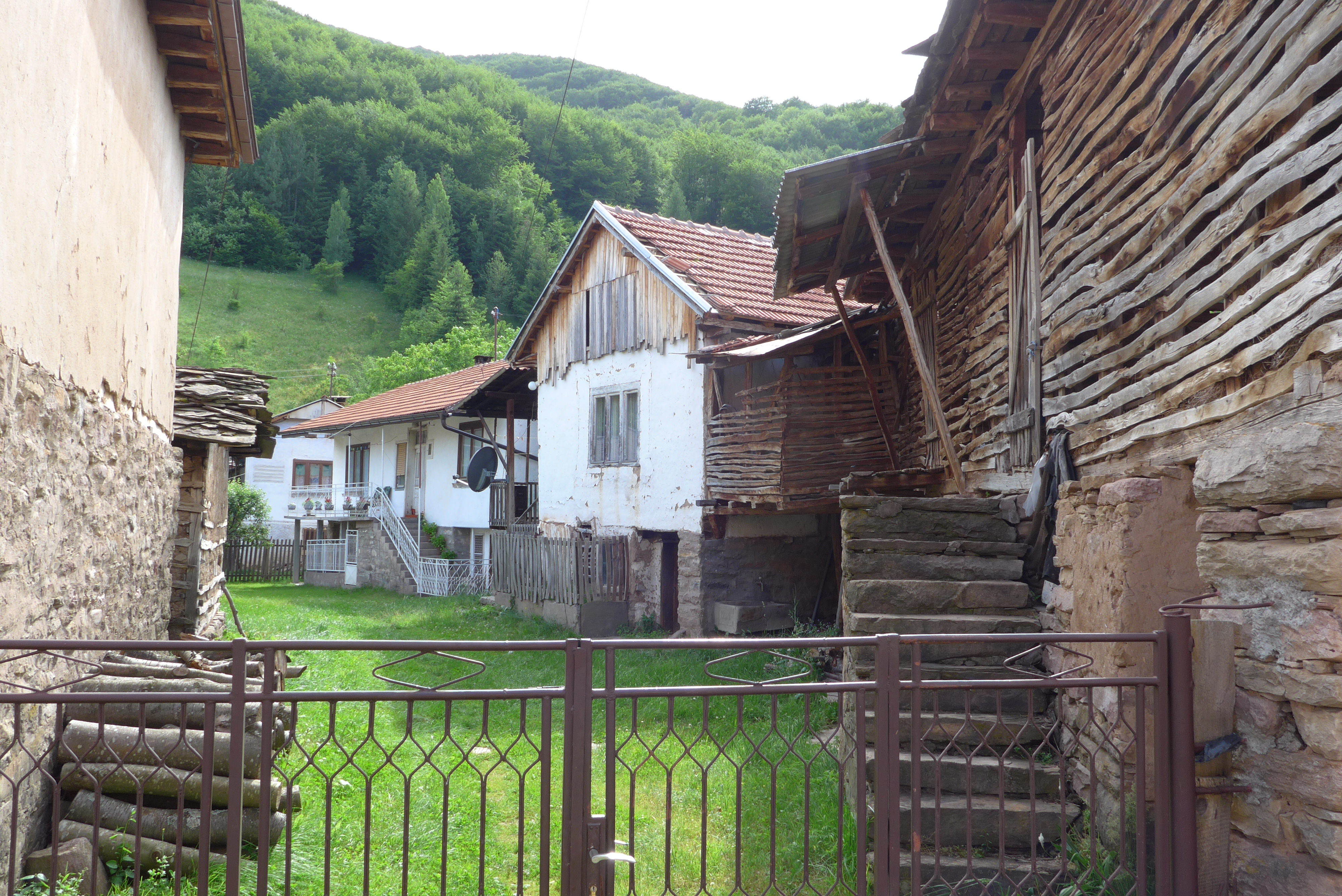 Dojkinci
