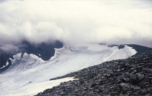 ledovec